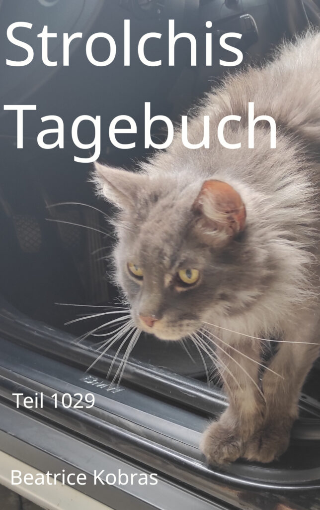 Urlaubsgeschichten einer Katze.